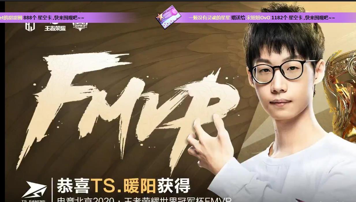 荣耀|王者荣耀世冠杯决赛暖阳韩信让三追四TS击败DYG获得冠军