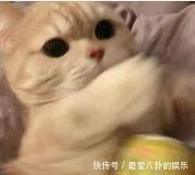 海底|“海底捞竟然有这种特殊服务?!”什么人呐这是