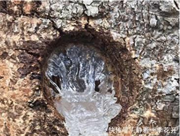 女人味|女人不想老太快,多吃这些碱性食物,激发女性激素,更有女人味!