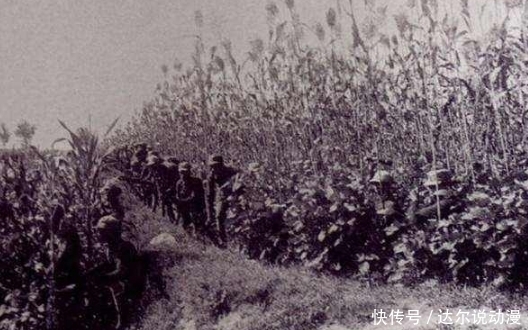 发起|除夕前一天日军发起扫荡,军区干部不信情报,分区司令员县长阵亡