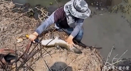鱼竿|鱼竿拉不动,拿树干在水里搅拌,结局喜人,好在没心急的剪断鱼线