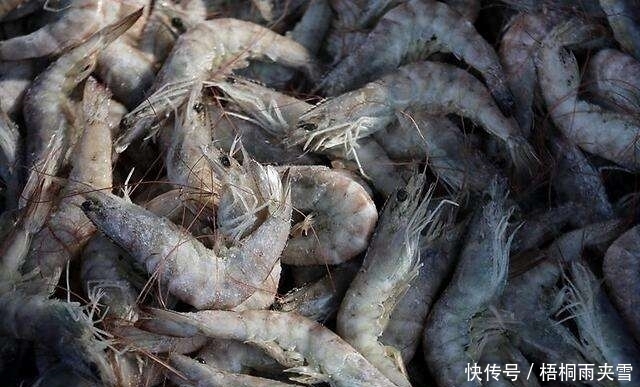 差劲|买大虾时,遇到这3种不要买,不新鲜没营养,老渔民从来不吃