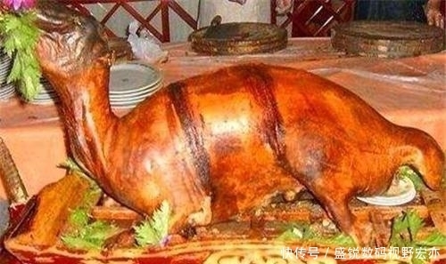 食用|这几道菜做法残忍, 不应该被食用, 最后一道让人胆颤