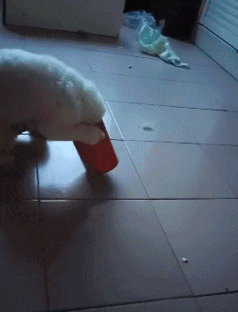  姑娘|搞笑GIF：这姑娘，你也太搞笑了！照的不错！