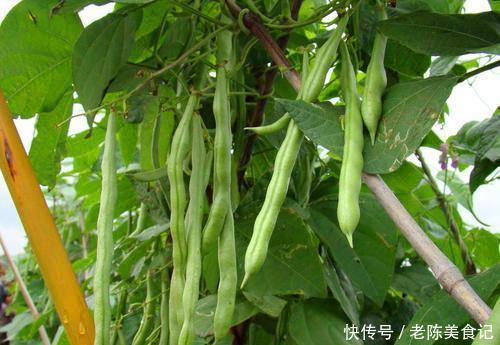 蔬菜|孩子喜欢吃水果,蔬菜几乎不吃,水果真的能代替蔬菜吗