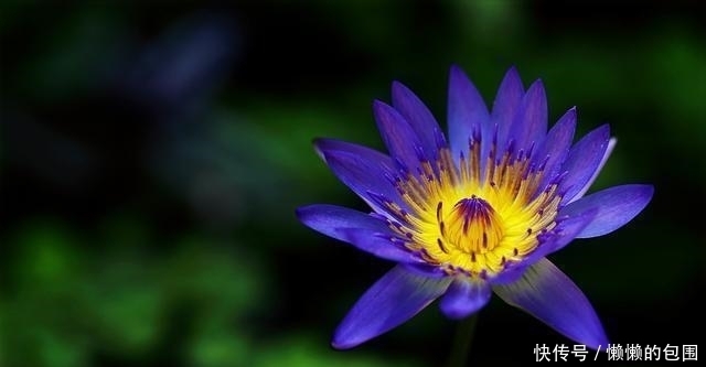 低层次|别去跟低层次的人争辩