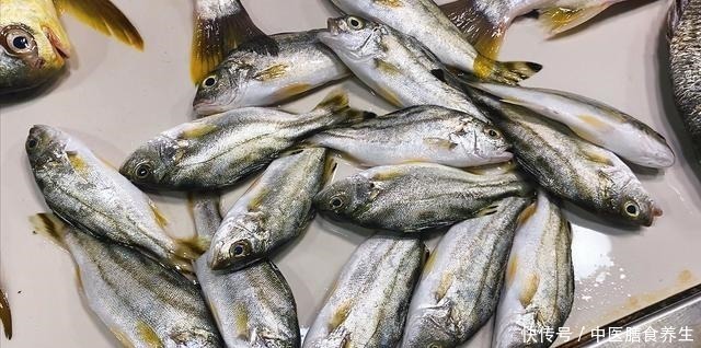 营养|营养极高的“5种鱼”,由于个小被嫌弃,内行人却常吃