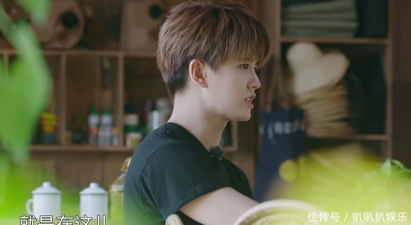 任嘉伦|《向往4》最敢说的嘉宾,来蘑菇屋只想唠嗑,称自己的角色是面瘫