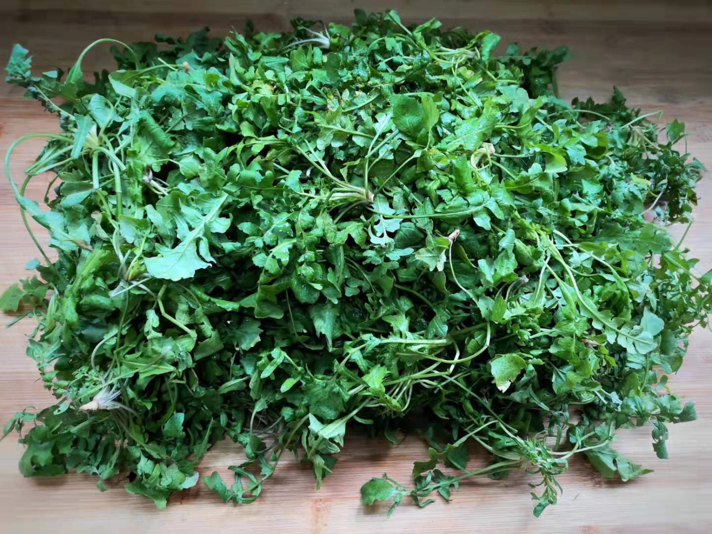 荠荠菜饺子|冬天给孩子包这馅饺子,开胃又消食,比韭菜香,比白菜营养,真香