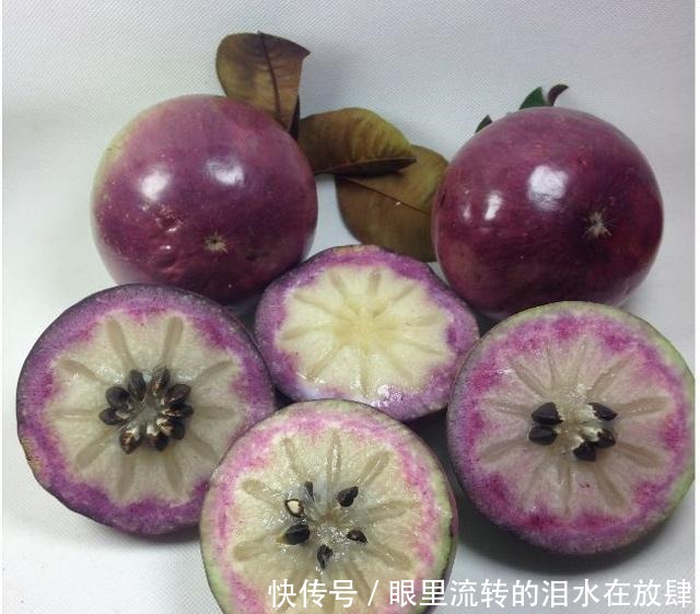 哪种|水果界的“李佳琦”,吃遍3000多种水果,哪种最好吃