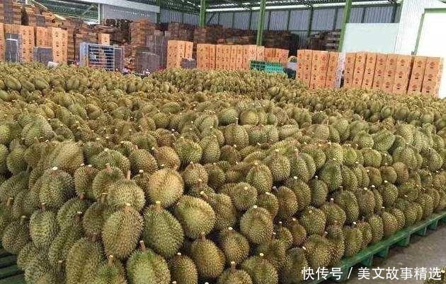 榴莲|进口多年的水果,1斤需要二三十,国内现在种植成功,会便宜吗