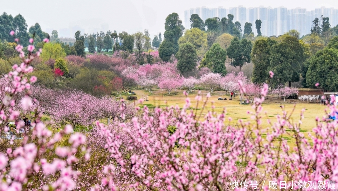 浅谈|浅谈秀丽东方IP对成都公园城市建设的借鉴作用