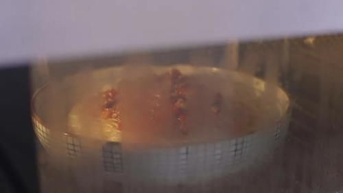 教你做|教你做百吃不厌的3款蒸菜,0油烟,美味又健康