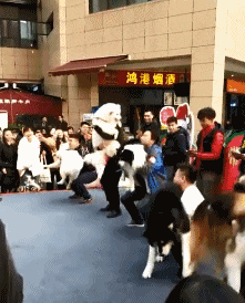 趣图|搞笑GIF趣图:有些事,该发生的时候,怎样拦都拦不住