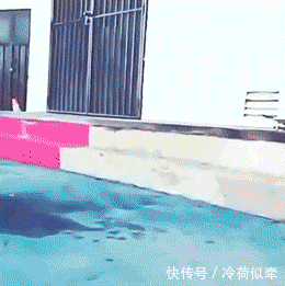  就别|GIF搞笑趣图: 亲爱的那不是爱情, 你就别看了