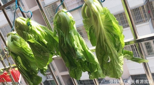 家传|家传秘制腌咸酸菜,一点都不难,过程简单大放送了