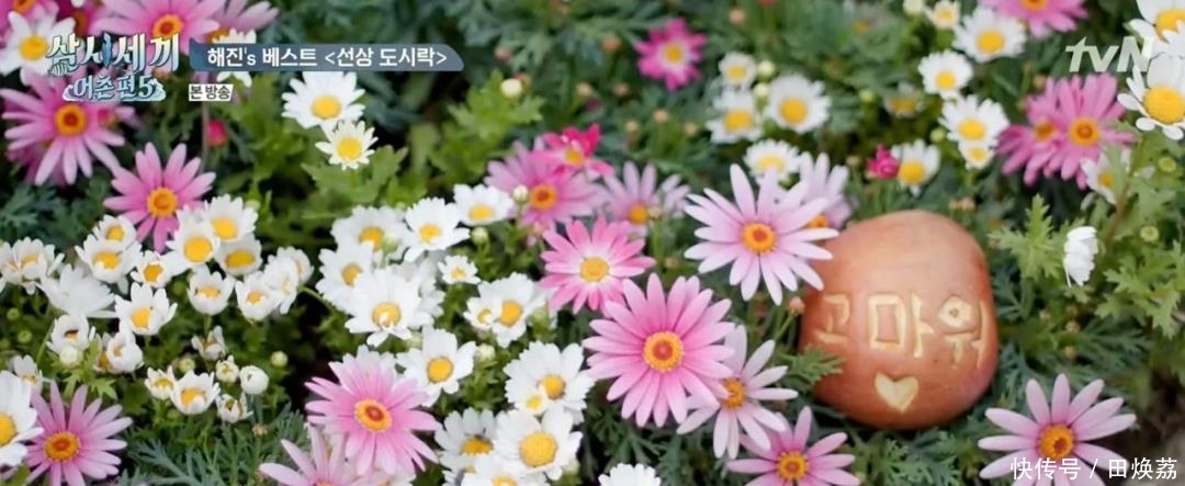 证明|这对cp给我锁死!乘风破浪的哥哥13年的默契一个眼神就能证明!