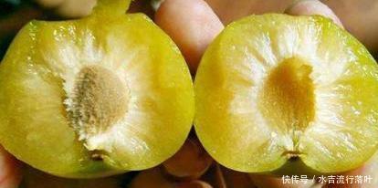 水果|别把钱看重要了，三伏天这3种水果要买点尝尝，不涩不酸正当吃！