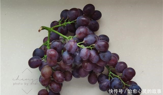 葡萄的时|洗葡萄不能只加清水,多加“这两样”,脏东西悄悄溜走,吃着放心