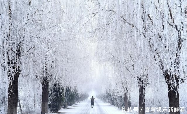  想象|我永远活不成你想象的模样，就像雪后夜空中的冷月，汪汪地凝思