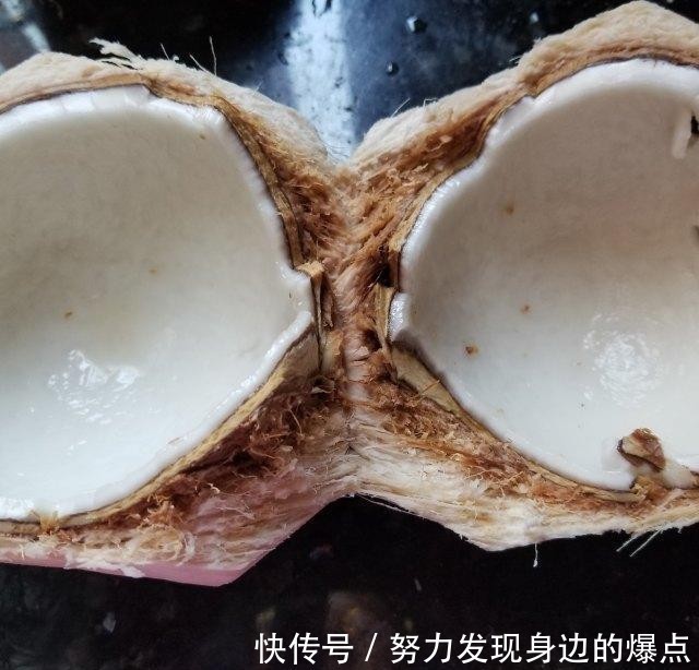 滋润|椰青猴头菇鸡汤,清甜滋润养胃