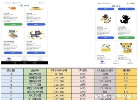 网上养猫|损失上亿!网上“养猫”6000多人被骗,多地警方已立案
