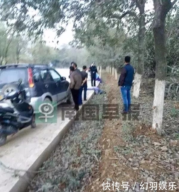  索赔|疑似偷狗者逃跑途中撞树死亡, 死者家属向追赶者索赔! 法院判决了