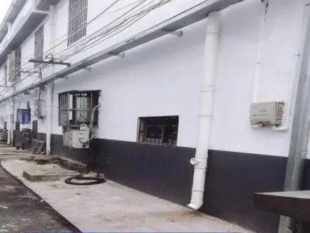 整改前|文明创建曝光台丨又有哪些不文明行为被曝光