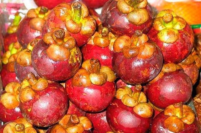 挑选|买山竹时有窍门,要选择“母”山竹,皮薄肉大,一挑一个甜