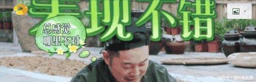 奔跑|《极挑》《奔跑吧》《向往的生活》差距在哪从沙溢就可以看出来