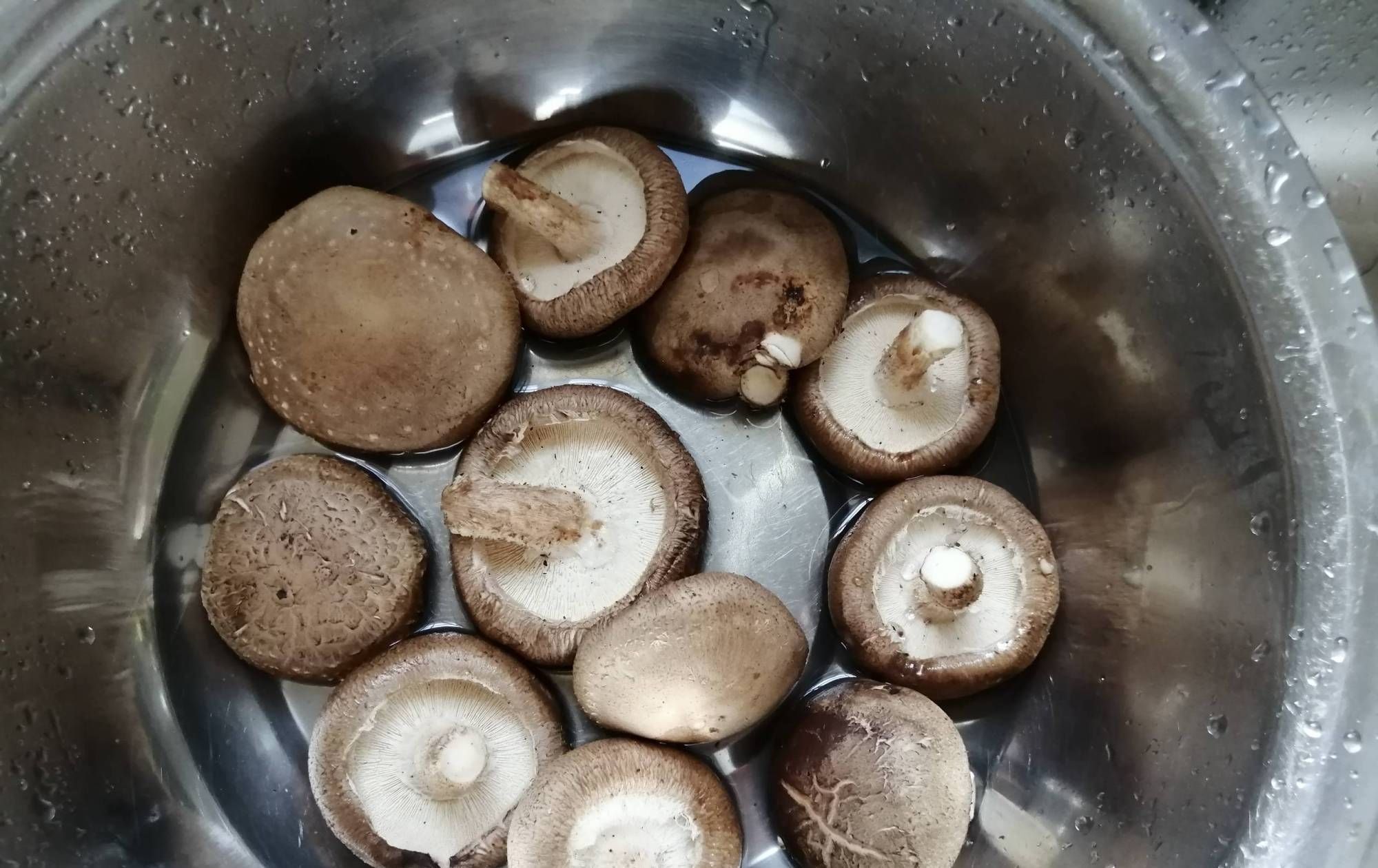 青霉素|“天然青霉素”是它，三天吃一次，咳嗽肺热不见了，很少人知道