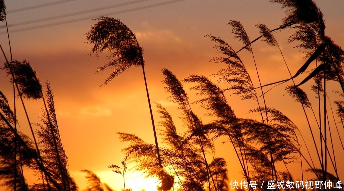 喜欢她|懂得珍惜不期而遇,才能看淡不辞而别