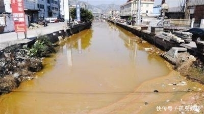 真的|作为失独皇帝,宋高宗真的反感臣下建议立储吗?