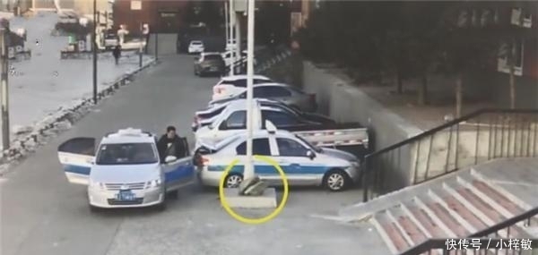 大鹅和鱼|女高中生带4斤大鹅10斤鱼, 想改善伙食, 却被俩的哥顺走吃掉