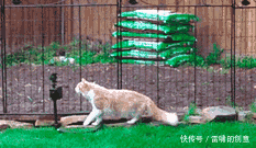 妹子|妹子,这么长的一双大长腿,再穿上这么高的高跟鞋,小心歪脚