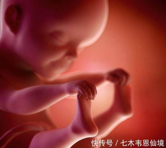 医生|四维做到一半,小家伙竟然在妈妈腹中干“坏事”,连医生都乐了