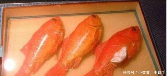  毒手|雷人藏毒运毒手法：只有想不到没有做不到的，真是为难毒贩子了！