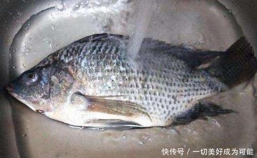 去掉|做鱼时,不管什么鱼,只要去掉这“4个部位”,就能彻底去腥除味
