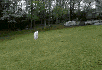 入口|搞笑GIF：小伙子，按照这个牌示，很可能这里就是入口，不要有怀疑，下去吧