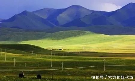 藏区|甘南,除了海拔,藏区的一切你都有∣该去·游