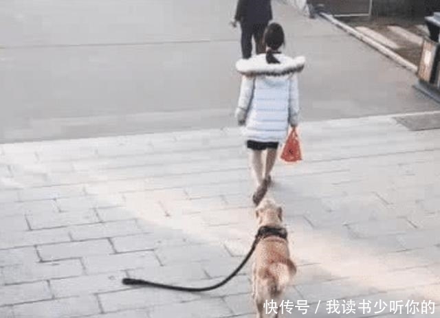 遛狗|佛系女孩上演遛狗最高境界,狗子: 你快把绳儿牵上,这样我很尴尬