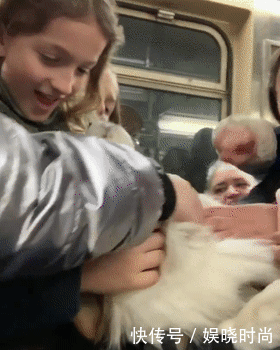 地铁|带狗上地铁会发生什么事情?狗子:我可爱了,也被撸秃了
