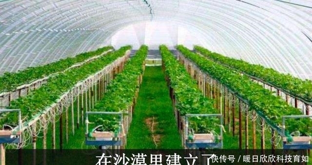  低调|低调的神秘国度，科技水平却像是开了挂一样地发达