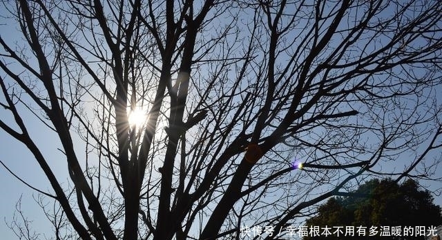 生活当中|自律为王，自带光芒的三大星座。做人不卑不亢，且从容优雅识大体