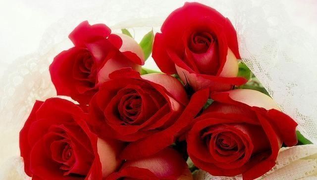 束花|心理学：你最喜欢哪束花，测出你的孩子考上大学的几率有多高