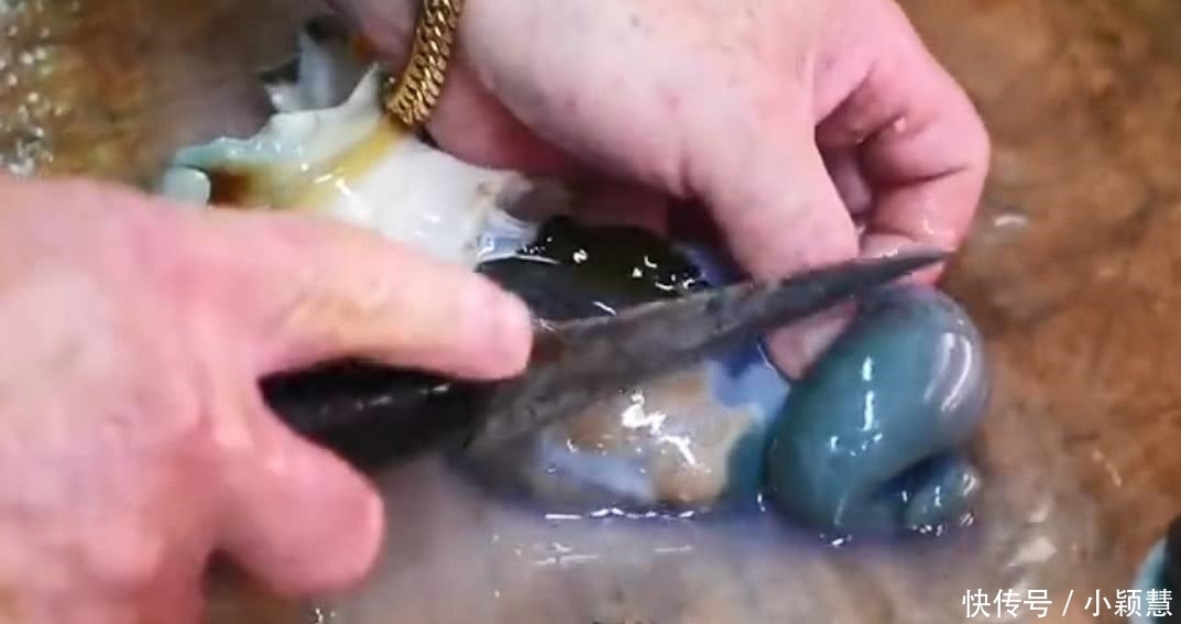 螺肉|米其林厨师用刀“豪取”螺肉,渔民看到后怒了:不懂就别瞎做!