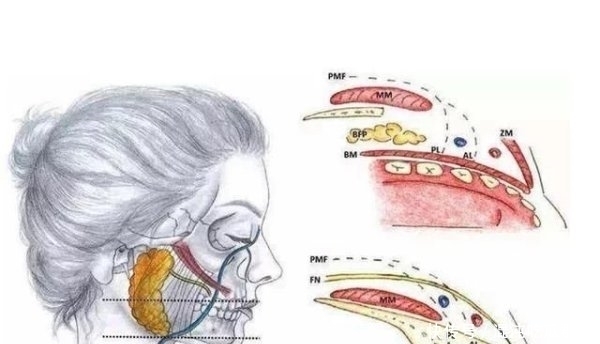 已成|别冲动!为瘦脸舍弃脸颊“肉垫”麻烦多,知名港星已成反面典型