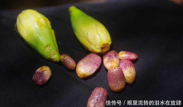  哪种|水果界的“李佳琦”，吃遍3000多种水果，哪种最好吃