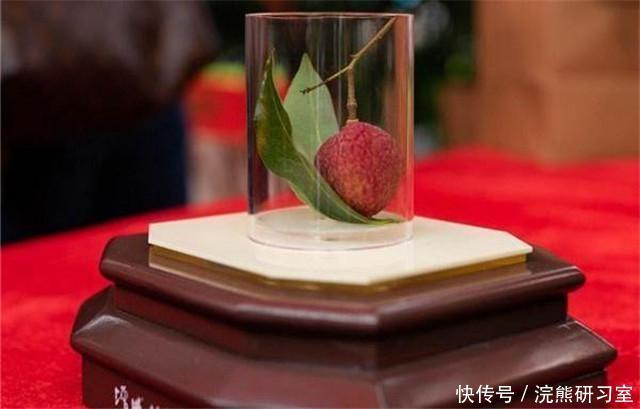 尚书|广东一天价荔枝,一颗55万,杨贵妃吃过,“母树”存活400年