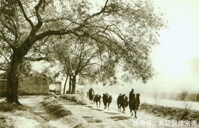 清朝|真实罕见的老照片:穷人在流浪,富人在欢笑,这才是真正的大清朝